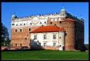 Golub-Dobrzy - Zamek